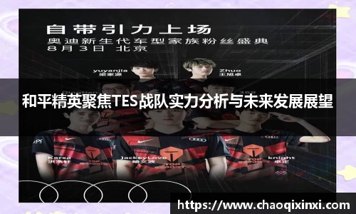 和平精英聚焦TES战队实力分析与未来发展展望