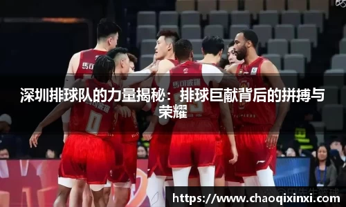深圳排球队的力量揭秘：排球巨献背后的拼搏与荣耀